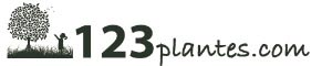123plantes, compléments alimentaires bio